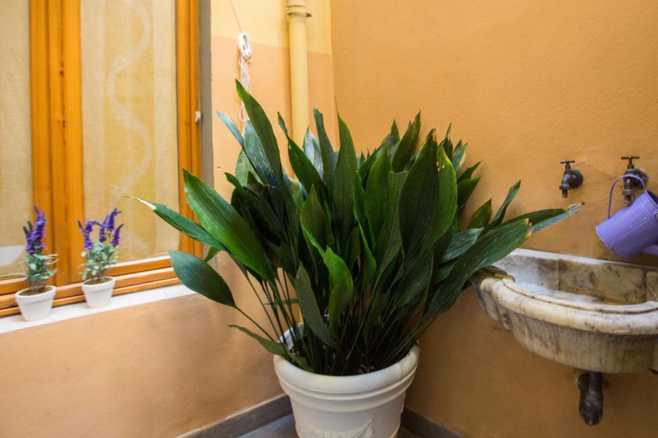 Charming Fiesolana Apartment In Heart Of Florence Ngoại thất bức ảnh
