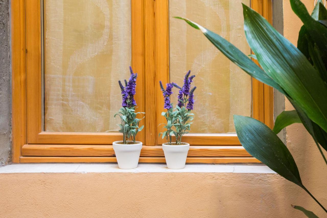 Charming Fiesolana Apartment In Heart Of Florence Ngoại thất bức ảnh